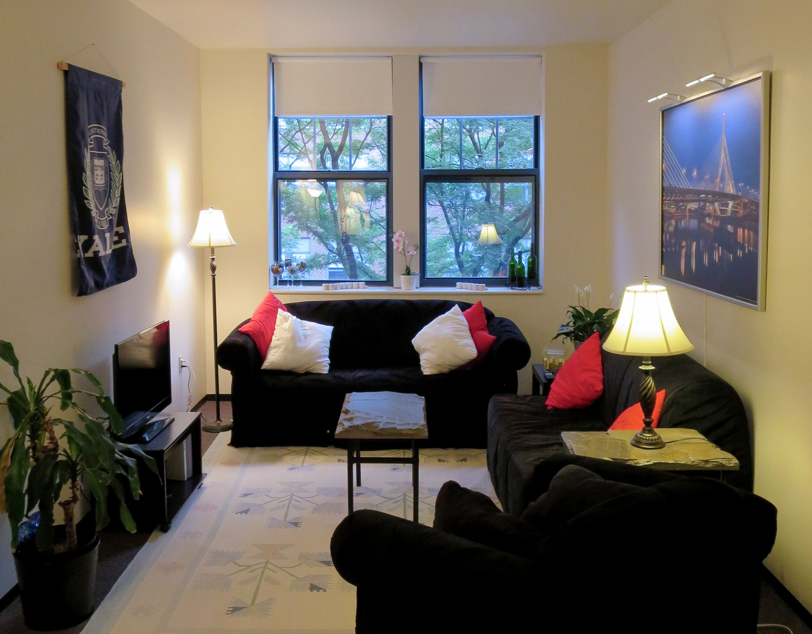 A living room with sofas and a TV