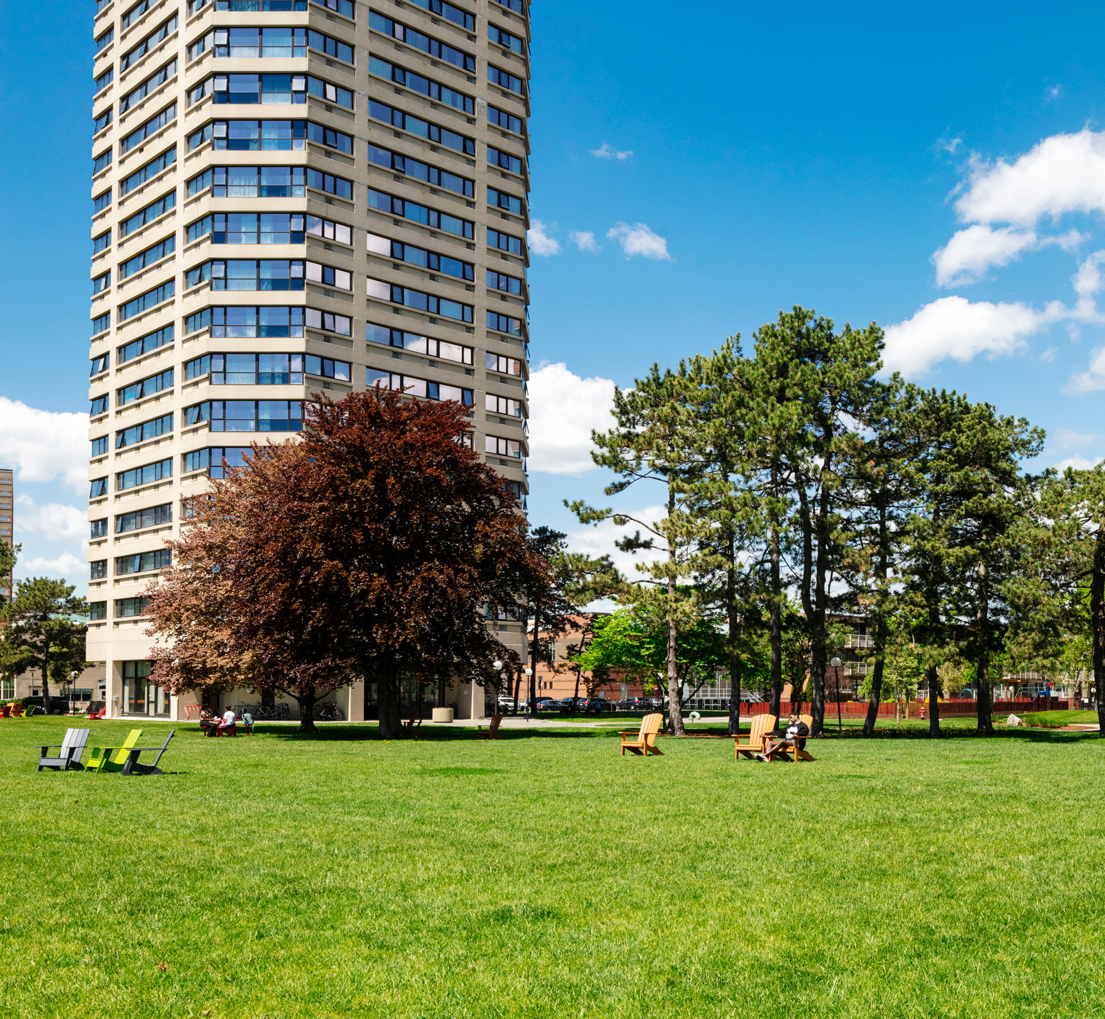 A large grassy lawn with Adirondack chairs, with Tang Hall in the background